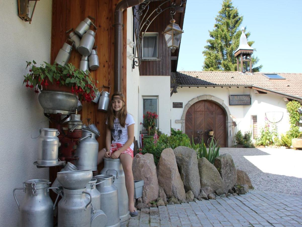 Chalet With Skiing And Horse Riding Nearby Villa Le Ménil Buitenkant foto