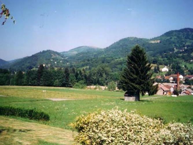 Chalet With Skiing And Horse Riding Nearby Villa Le Ménil Buitenkant foto