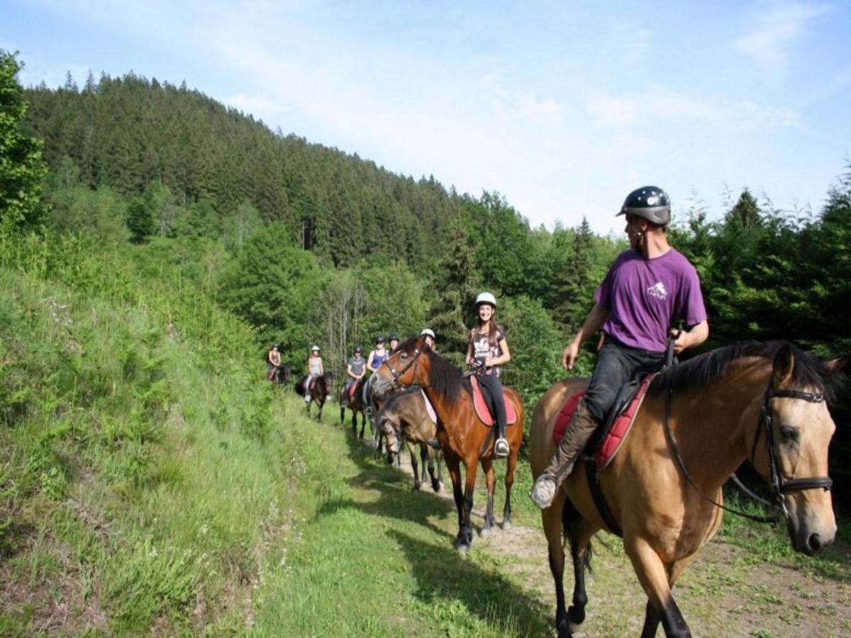 Chalet With Skiing And Horse Riding Nearby Villa Le Ménil Buitenkant foto