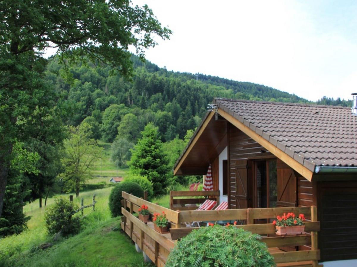 Chalet With Skiing And Horse Riding Nearby Villa Le Ménil Buitenkant foto